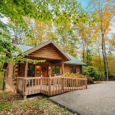 Ferngully Creek Cabins Millersburg Exteriör bild
